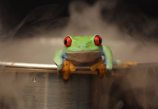 Boilng Frog
